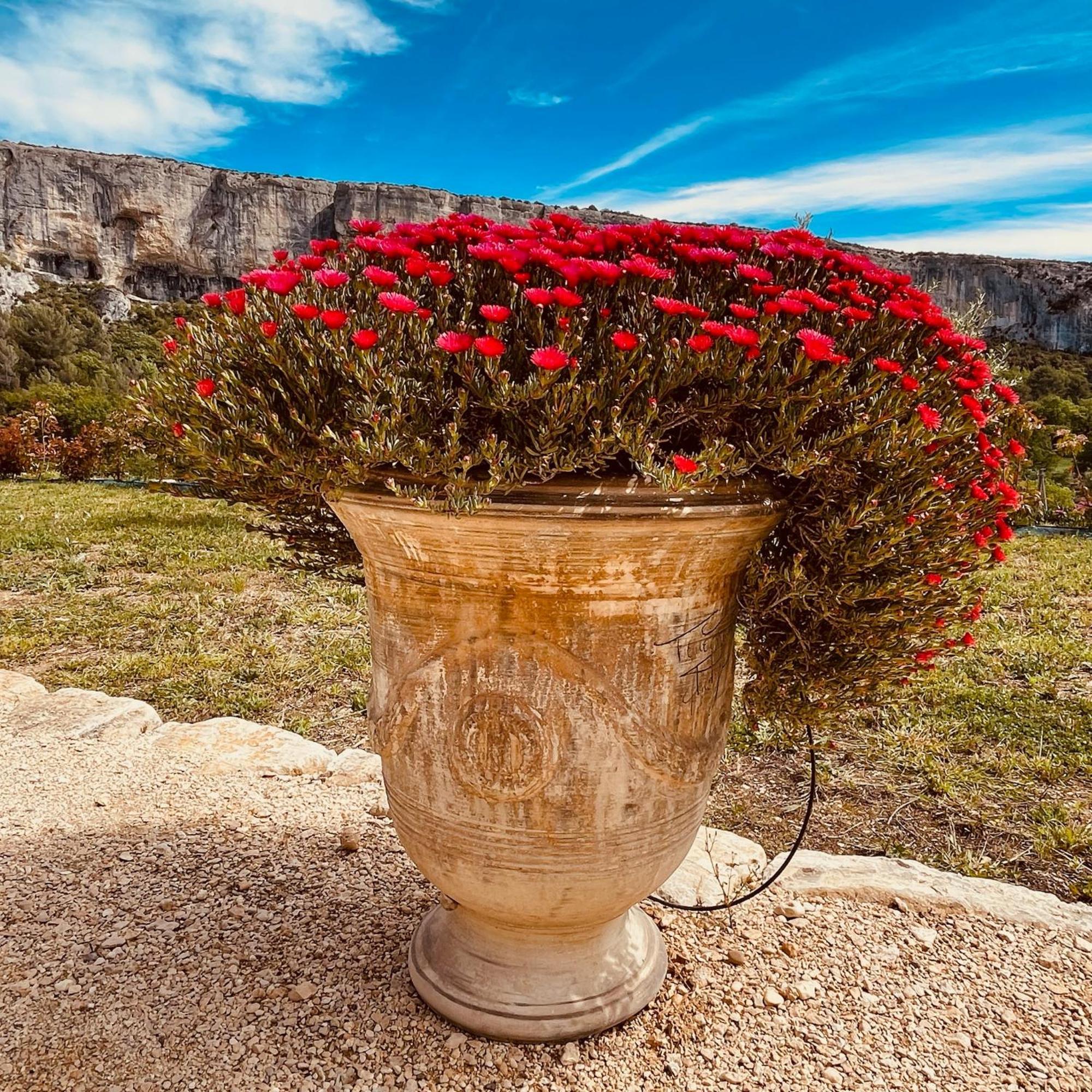 Gite La Madeleine Du Luberon. Lioux 외부 사진